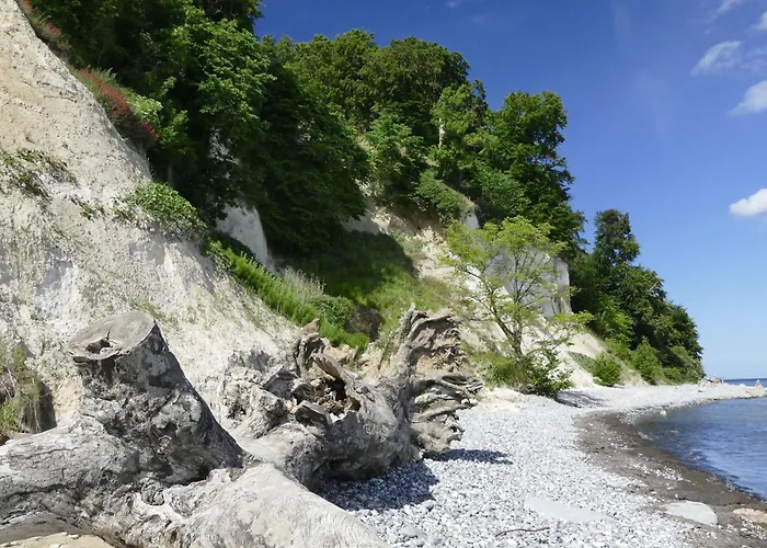 아파트 Feuerstein *